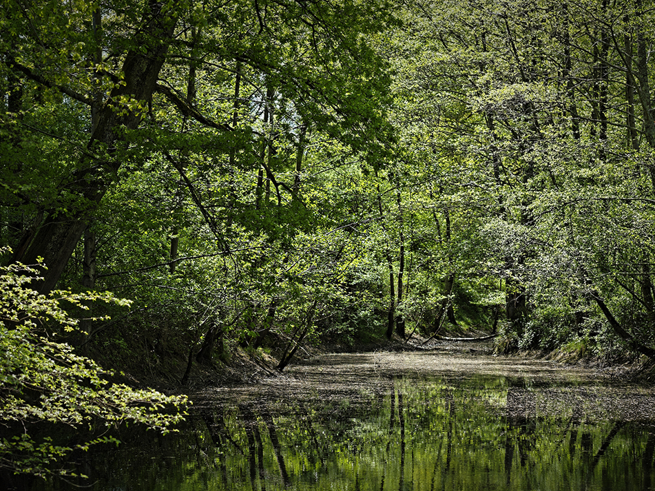 PATRIMOINE NATUREL